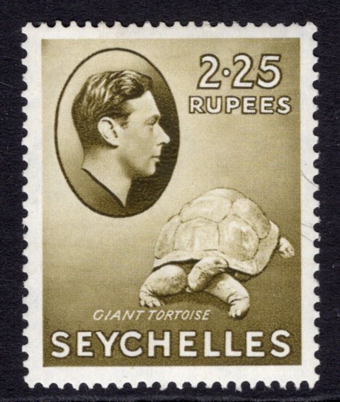 View details of lot 2622